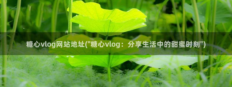 糖心vlgo柚子猫视频