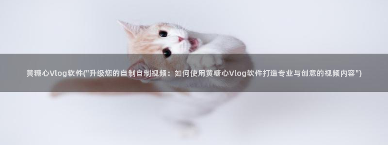 糖心vlgo国精产品