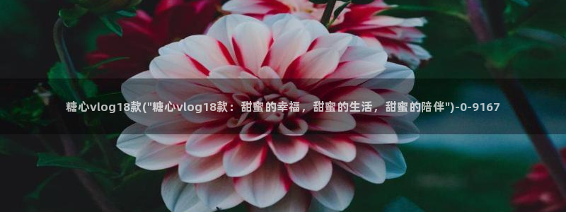 糖心的vlog
