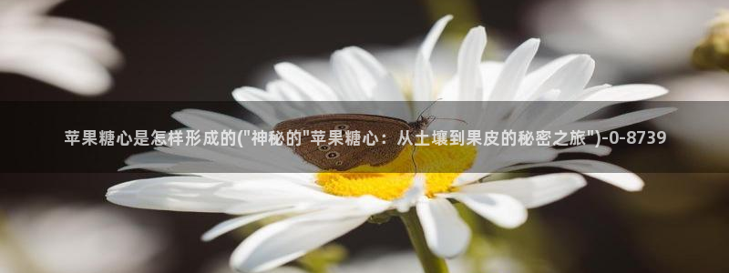 糖心vlog图片