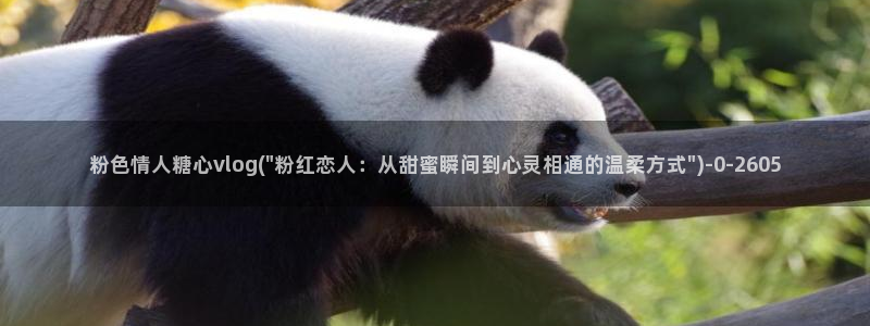糖心vlog日常
