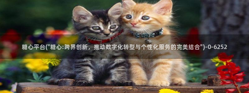 创可贴糖心vlog在线观看免费