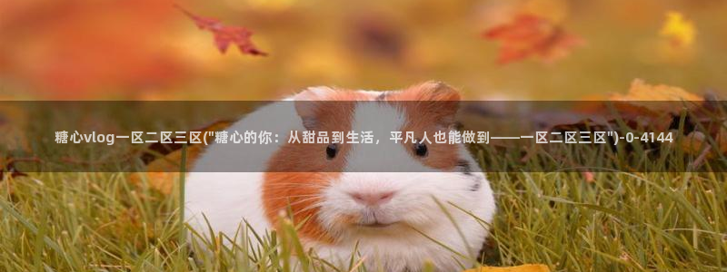 糖心vlog糖