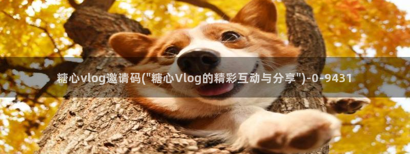 糖心vlog是哪里的