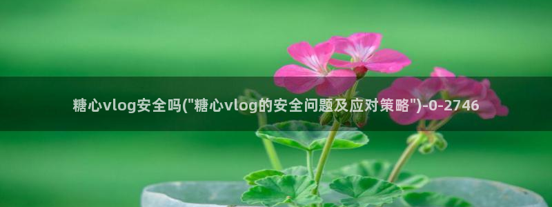 糖心vlog苹果版