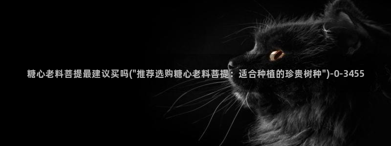 糖心视频vlog入口
