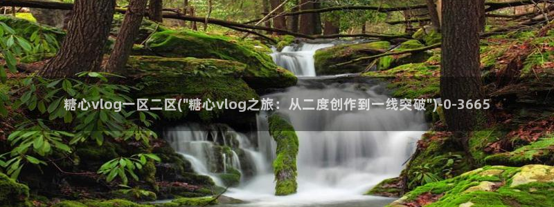 糖心在线观看vlog