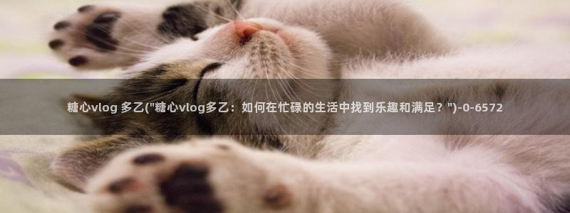 糖心vlog下载入口