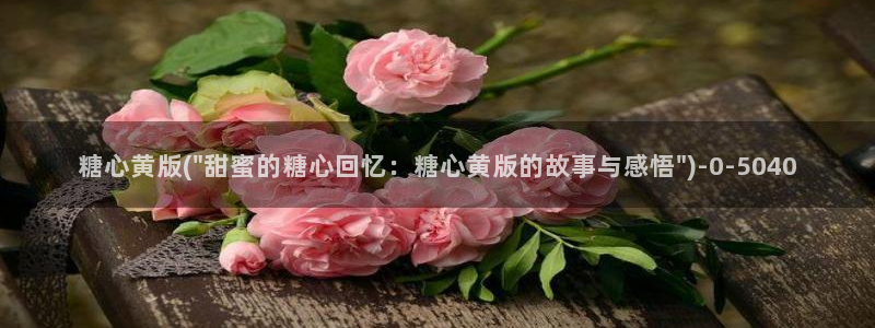 糖心vlog视频