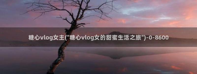 糖心vlog在线观看星辰