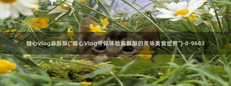 糖心vlog:
